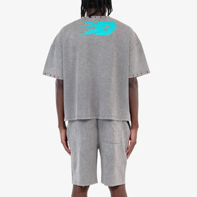 GRAY DREAMER CROP T-SHIRT